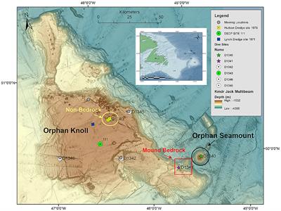 Enigmatic Deep-Water Mounds on the Orphan Knoll, Labrador Sea
